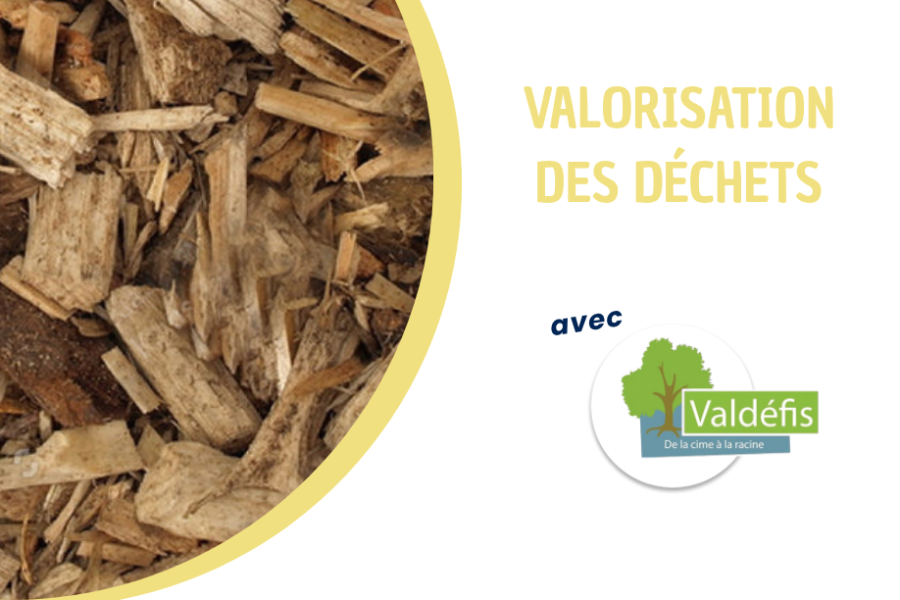 Valorisation des déchets avec Valdéfis